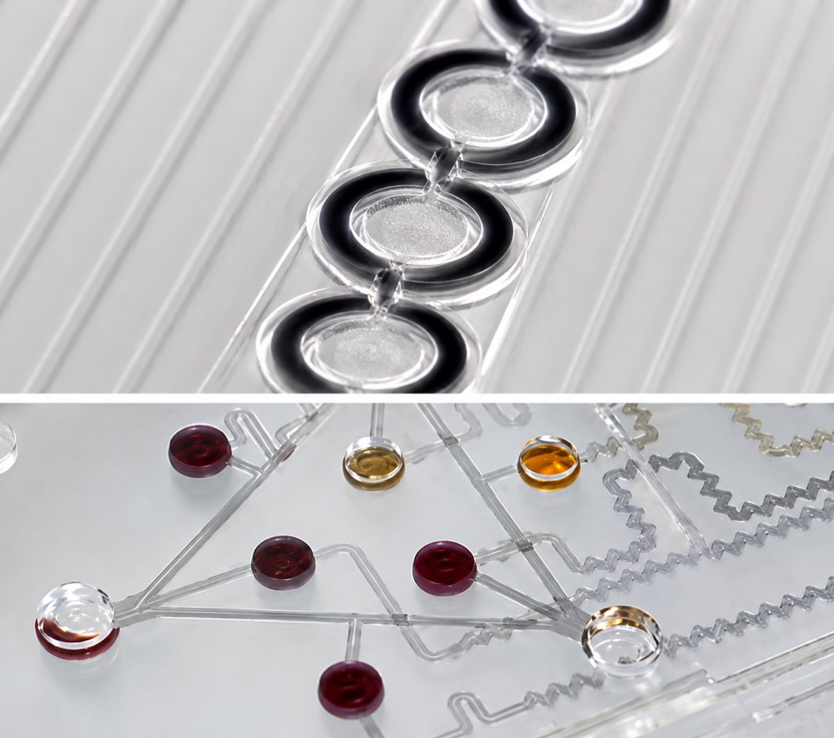 Organ-on-chip micropillar array