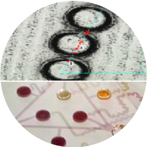 Organ-on-chip micropillar array
